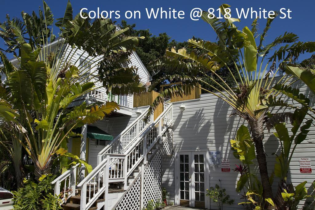 Апартаменти Colors On White Кі-Вест Екстер'єр фото